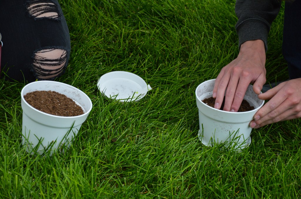 Two pots with soil on the grass. One is being patted by a student's hand.