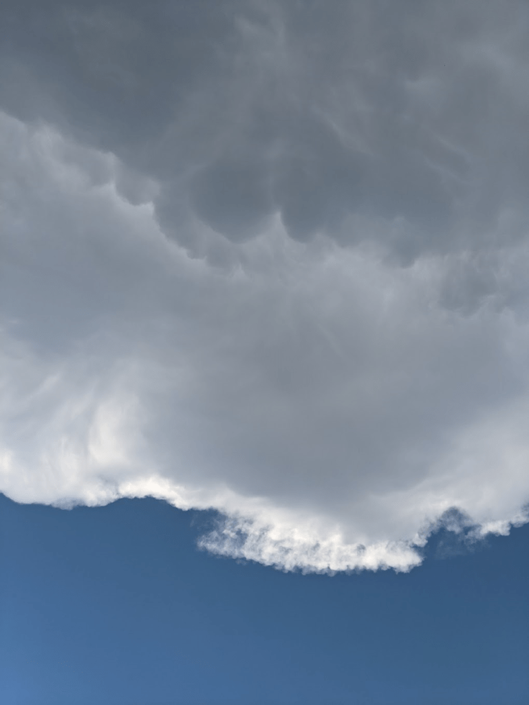 Clouds against a blue sky. The sky is visible at the bottom of the image and above that dark, bubbly mammatus clouds take up most of the image. 