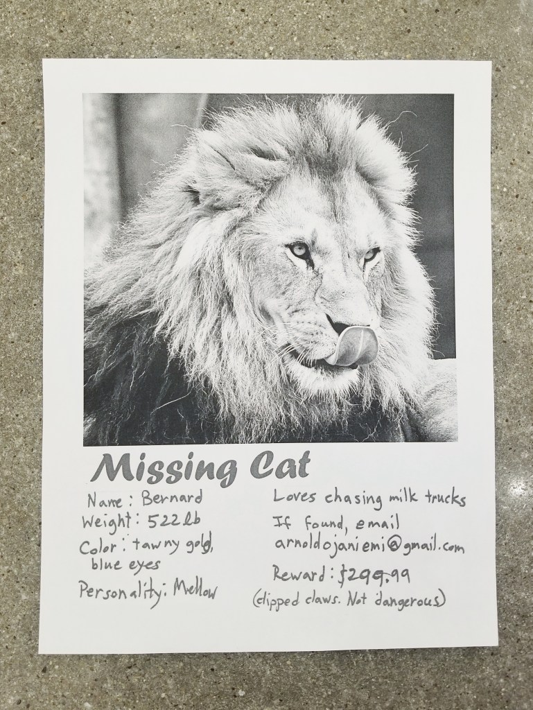 Missing cat poster where the missing cat is actually a lion. Features a black and white photo of a lion accompanied by details about it. 