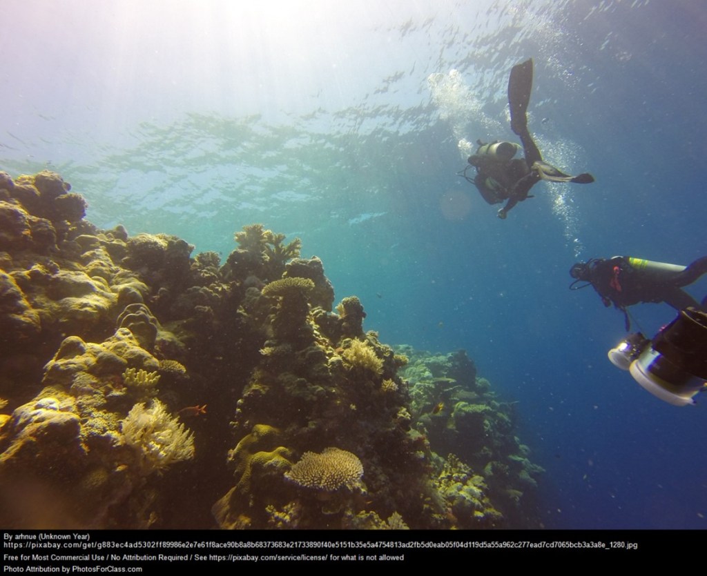 Coral reef on the left with divers swimming by on the right. 