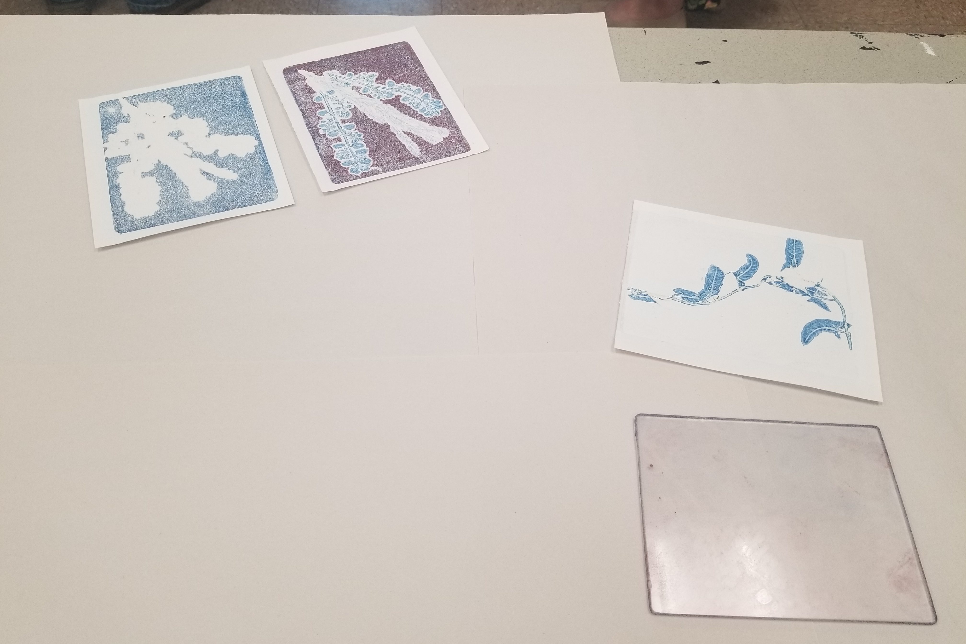 Colored prints of plants on paper sitting on a table. 