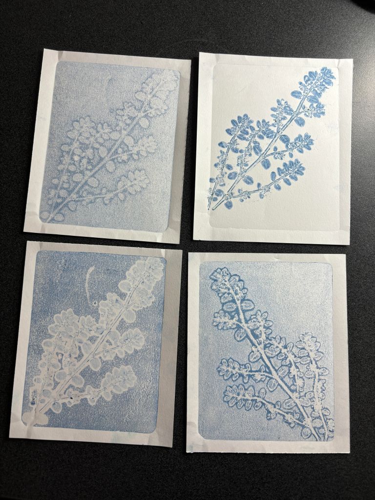 Four blue and white prints of a plant on small pieces of paper. 