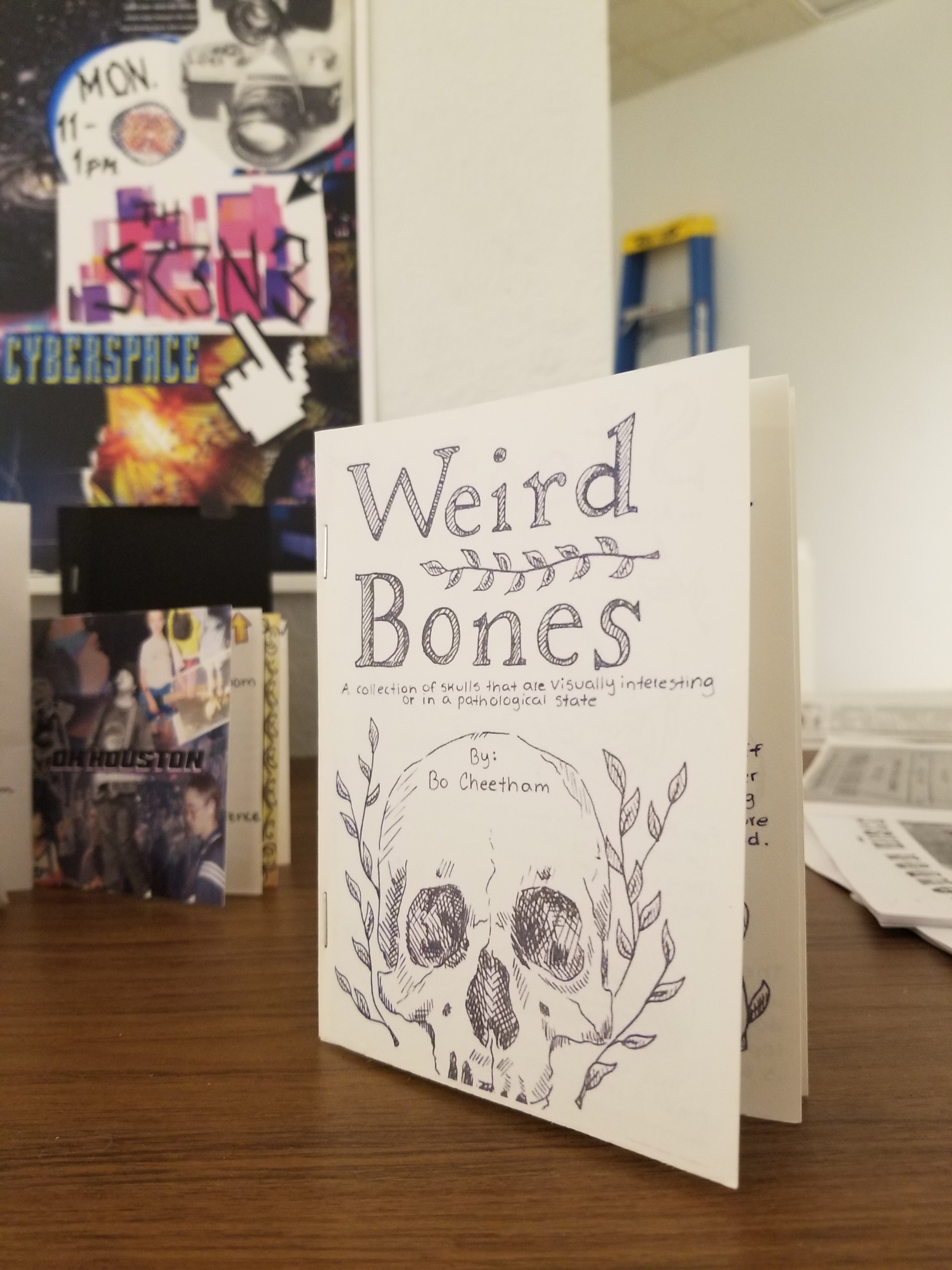 A zine called Weird Bones by Bo Cheetham. 