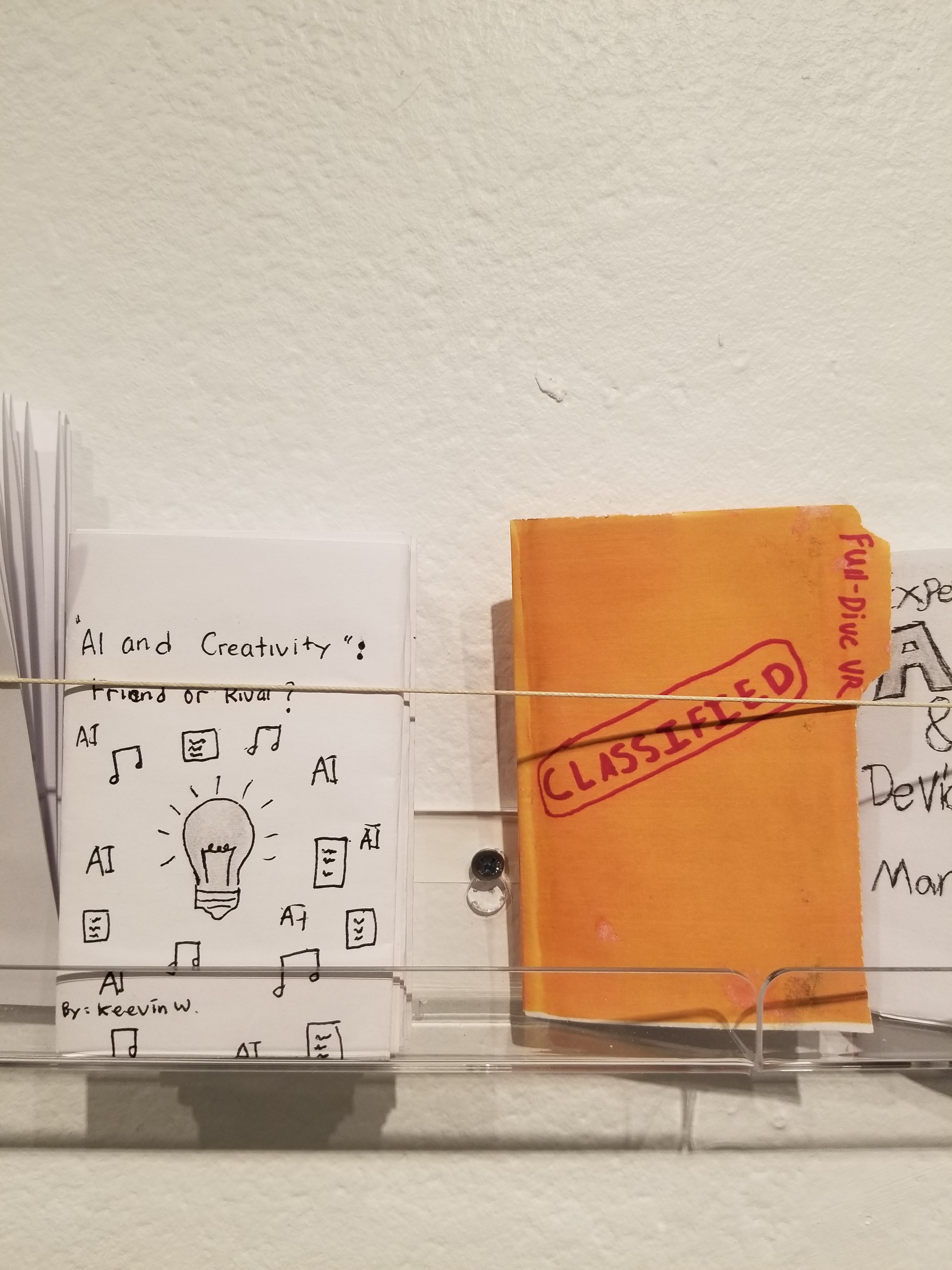 Two minizines on the shelf at Zinefest.