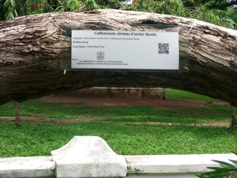 Service Learning at Trinity Eco Prayer Park II: Installing QR&nbsp;Codes