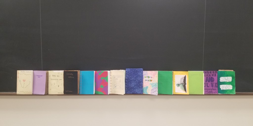 Commonplace books lined up in front of a chalkboard.